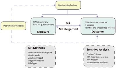 Causal relationship between gut microbiota and rosacea: a two-sample Mendelian randomization study